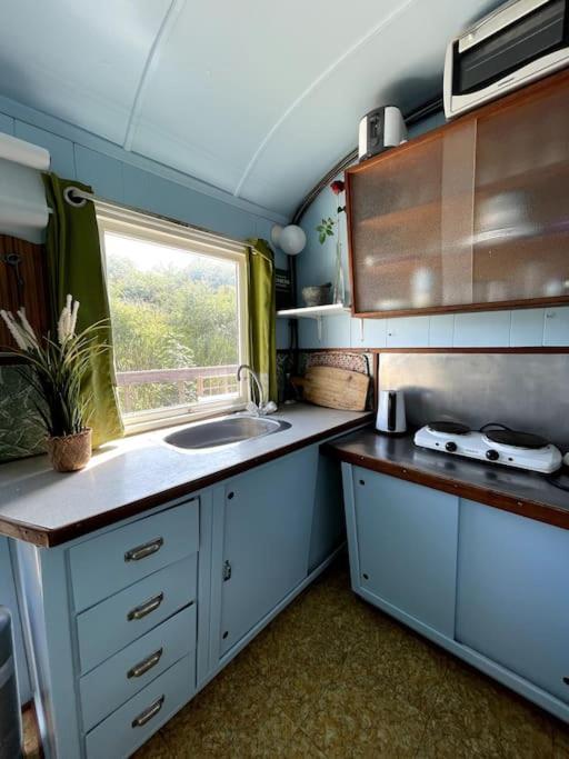 Fjordhytten. Rebuild Train Wagon From 1937. Leilighet Odense Eksteriør bilde